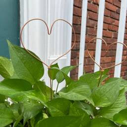 Copper Heart Plant Trellis With Optional Crystal - thumbnail 4
