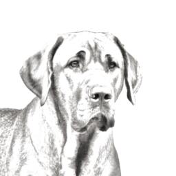 Broholmer - Wooden Stand For Candles/Pens With The Image Of A Dog New Collection - thumbnail 2