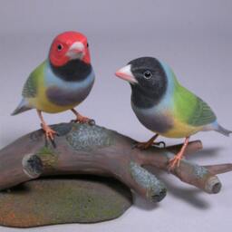 Gouldian Finch Pair Hand Carved Wooden Bird - thumbnail 3