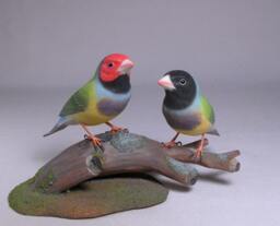 Gouldian Finch Pair Hand Carved Wooden Bird
