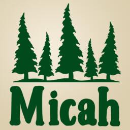 Personalized Name Vinyl Decal, Nursery Wall Woodland Nursery, Pine Tree Decals, Childrens Bedroom Decal, Adventure Decor - thumbnail 2