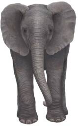 Elephant Wall Decal - thumbnail 1