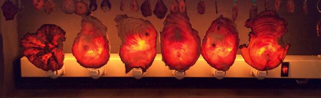 Live Edge Nightlights - image 1