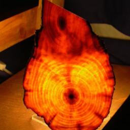 Live Edge Nightlights - thumbnail 3