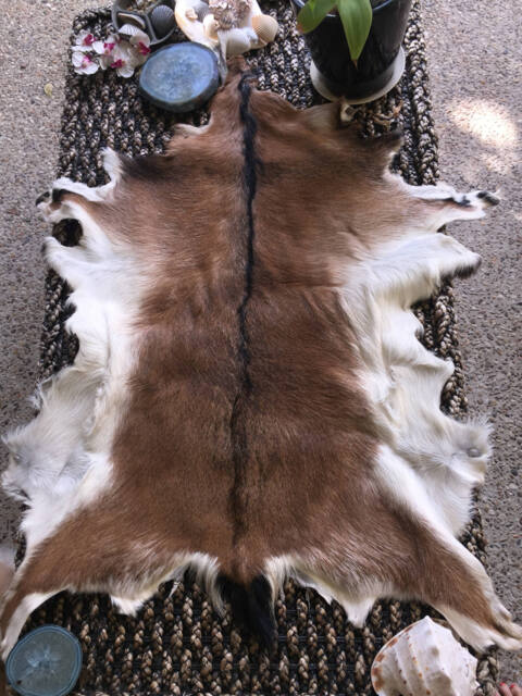 Tanned Brown Goathide - 110cm X 80cm - image 1