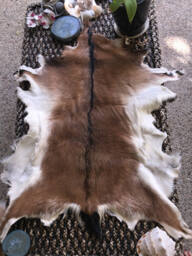 Tanned Brown Goathide - 110cm X 80cm - thumbnail 1