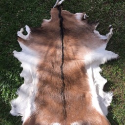 Tanned Brown Goathide - 110cm X 80cm - thumbnail 3