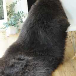 "100% British Rare Breed Double Sheepskin Rug in Undyed ""Cafe Noir" - thumbnail 3