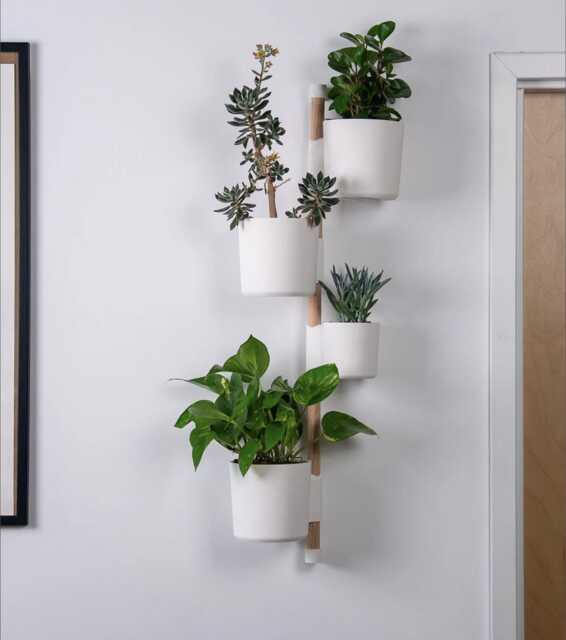 The Rail V2 - Wall Mounted Planter Modern Vertical Herb & Plant Holder - Pine Dowel/Rail Included - image 1