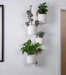The Rail V2 - Wall Mounted Planter Modern Vertical Herb & Plant Holder - Pine Dowel/Rail Included - thumbnail 1