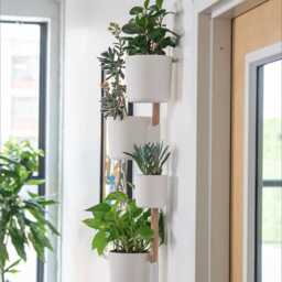 The Rail V2 - Wall Mounted Planter Modern Vertical Herb & Plant Holder - Pine Dowel/Rail Included - thumbnail 2
