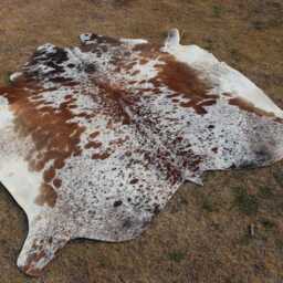 Brown & White Cowhide Rugs-Genuine Tricolor Cowskin-Natural Hair On Hide Area Rug For Living Room-Western Decor-Brazillian - thumbnail 4