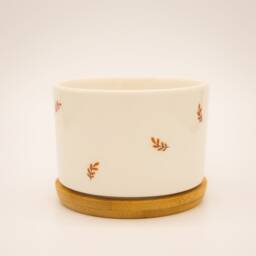 Black Cat Ceramic Succulent Pot With Bamboo Tray - 3.15'' - thumbnail 3