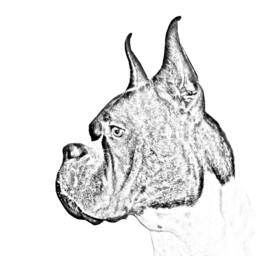 Boxer - Wooden Stand For Candles/Pens With The Image Of A Dog New Collection - thumbnail 2