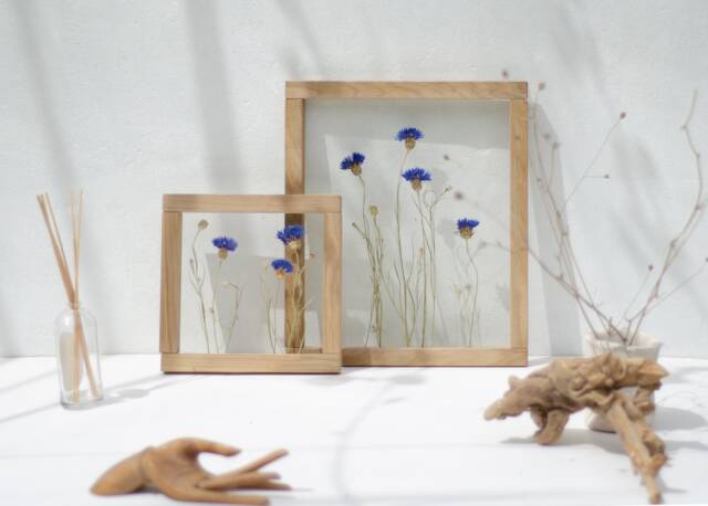 Framed Wall Art Set - Botanicals Dried Flowers Real Pressed Flowers Glass Hanging Frame Flower Frame Wall Decor - image 1