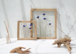 Framed Wall Art Set - Botanicals Dried Flowers Real Pressed Flowers Glass Hanging Frame Flower Frame Wall Decor - thumbnail 1