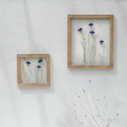 Framed Wall Art Set - Botanicals Dried Flowers Real Pressed Flowers Glass Hanging Frame Flower Frame Wall Decor - thumbnail 4