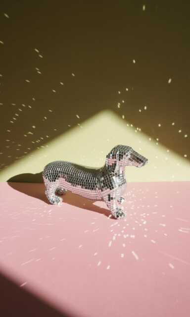 Disco Dachshund Dog Home Decor - image 1