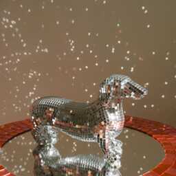 Disco Dachshund Dog Home Decor - thumbnail 3