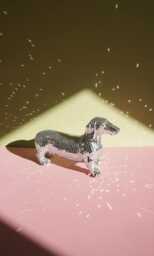 Disco Dachshund Dog Home Decor - thumbnail 1