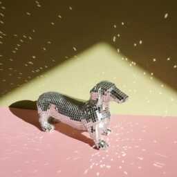 Disco Dachshund Dog Home Decor - thumbnail 2
