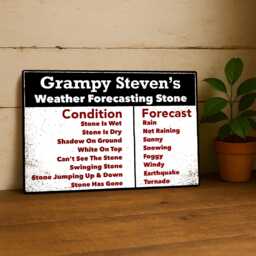 Personalised Weather Forecasting Sign, Outdoor & Garden Metal Wall Art Decor, Door Plaque, Gardening Gifts, Vintage Tin Sign