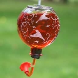 Etched Hummingbird Flourish For Window Or Garden Bottle Hummingbird Feeder - thumbnail 3