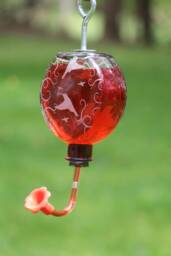 Etched Hummingbird Flourish For Window Or Garden Bottle Hummingbird Feeder - thumbnail 1
