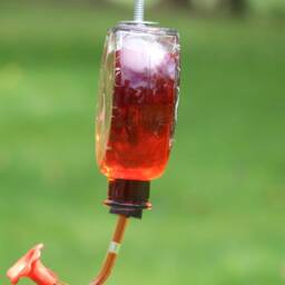 Etched Hummingbird Flourish For Window Or Garden Bottle Hummingbird Feeder - thumbnail 2