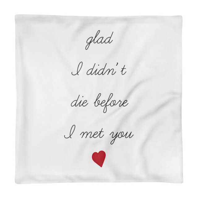 "Pillow Case Only - Bright Eyes Conor Oberst First Day Of My Life ""Glad I Didn't Die Before I Met You"