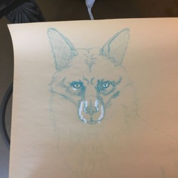 "Silver Fox ""George" - thumbnail 2