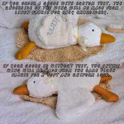 Pink Goose Toy - Toddler Hugging Doll Pet Baby Gift Personalized Plush With Name On Wing - thumbnail 4