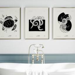 Ocean Set Of 3 Prints, Marine Animals Posters, Minimalist Wall Decor, Modern Art, Nautical Aesthetic Drawing, Printable Gallery Art - thumbnail 2