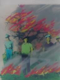 Resin Artwork Forest Fire
