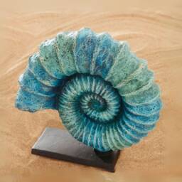 Handpainted Blue Ammonite Sculpture Fossil Shell Statue, Coastal Home Bookshelf & Aquarium Office Decor - thumbnail 2