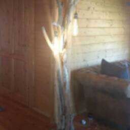 Driftwood Floor Lamp - thumbnail 2