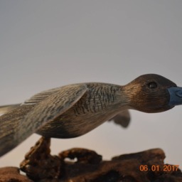 Livanbirds, Duck in Flight, Carved Bird, Art, Duck, Bird Sculpture, Carvings, Waterfowl, Feathers, Gift, Art & Collectables - thumbnail 4