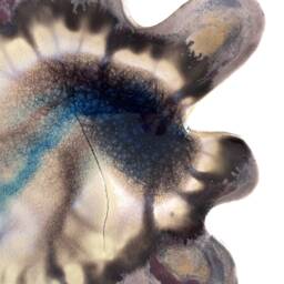 Wabi Sabi Ceramic Wall Art Purple Crackle Glaze Sculpture - thumbnail 2