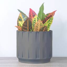 "Colosseum Planter With Drainage & Saucer in Stone Blue, Unique 3D-Printed Plant Pot, Small To Large Sizes 4"" 5"" 6"" 7"" 8" - thumbnail 3
