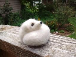 Needle Felted Arctic Fox, Curled Up