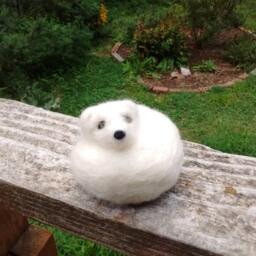 Needle Felted Arctic Fox, Curled Up - thumbnail 2