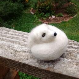 Needle Felted Arctic Fox, Curled Up - thumbnail 3