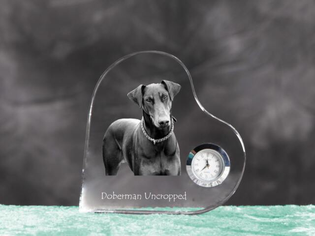 Dobermann - Crystal Clock in The Shape Of A Heart With Image Pure-Bred Dog - image 1