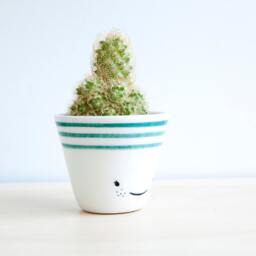 Smile Ceramic Planter For Succulent, Plant Pot Cactus, Ceramics & Pottery Esm - thumbnail 4