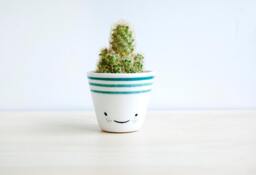 Smile Ceramic Planter For Succulent, Plant Pot Cactus, Ceramics & Pottery Esm - thumbnail 1