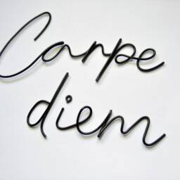 Carpe Diem Wire Words Wall Art, Minimalist Metal Sign, Bedroom Decor - thumbnail 3