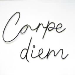 Carpe Diem Wire Words Wall Art, Minimalist Metal Sign, Bedroom Decor - thumbnail 4