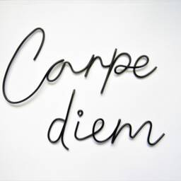 Carpe Diem Wire Words Wall Art, Minimalist Metal Sign, Bedroom Decor - thumbnail 2