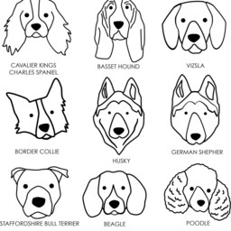 Good Dog, Personalised Christmas Stocking - thumbnail 3