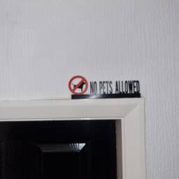 No Pets Allowed Door Topper, Shelf Decor, Wall Quirky Home Interior Gift, Door Decoration - thumbnail 3